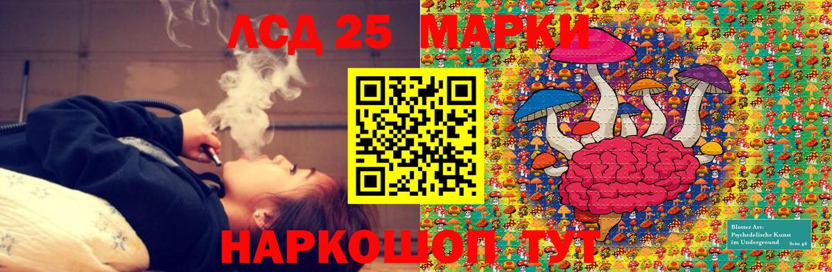 Наркотические марки 1,5мг  Наркотические марки 1,5мг  Вход с VPN  Марки NBOMe  Верхняя Пышма 