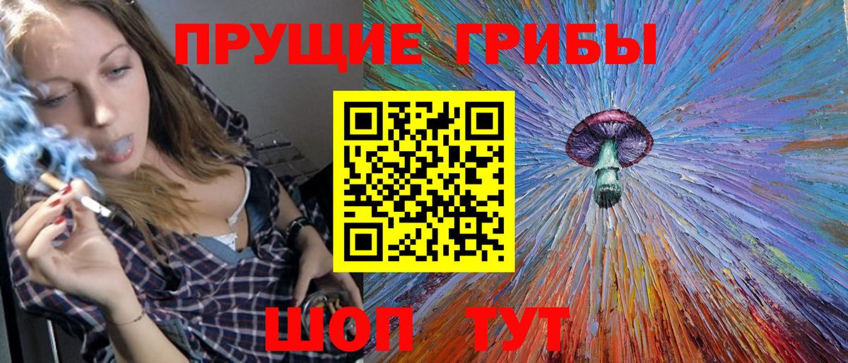 Псилоцибиновые грибы Cubensis Верхняя Пышма