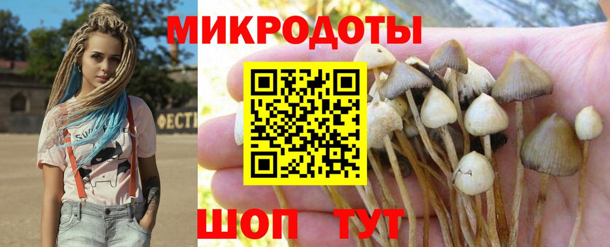 Верхняя Пышма  Псилоцибиновые грибы Cubensis  сколько стоит  Вход с VPN 